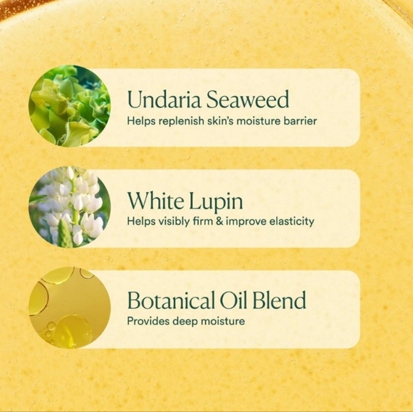 Osea Undaria Algae Body Oil, 1oz, NIB - Picture 5 of 9